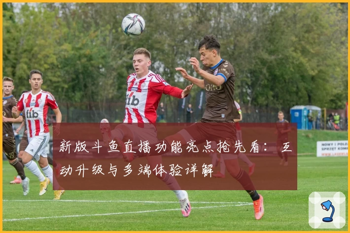 新版斗鱼直播功能亮点抢先看:互动升级与多端体验详解