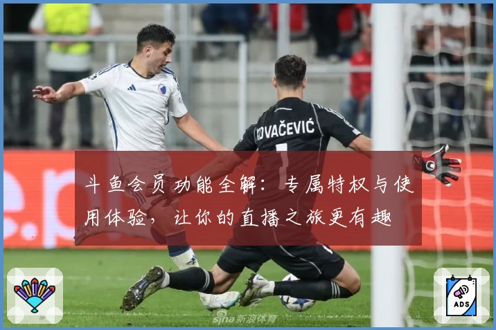 斗鱼会员功能全解：专属特权与使用体验，让你的直播之旅更有趣