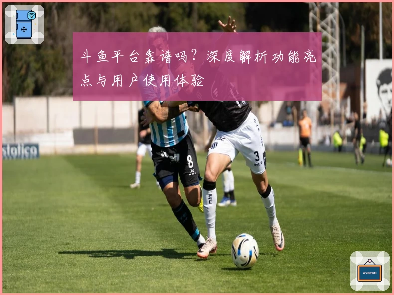 斗鱼平台靠谱吗?深度解析功能亮点与用户使用体验