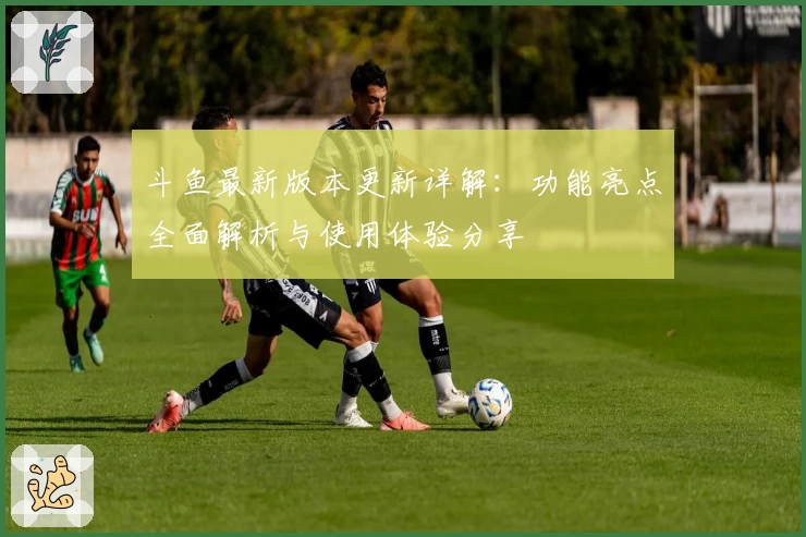 斗鱼最新版本更新详解：功能亮点全面解析与使用体验分享