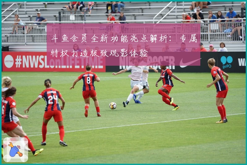 斗鱼会员全新功能亮点解析：专属特权打造极致观影体验